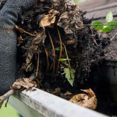 gutter protection