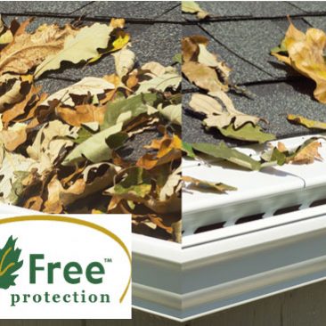 leafree gutter protection
