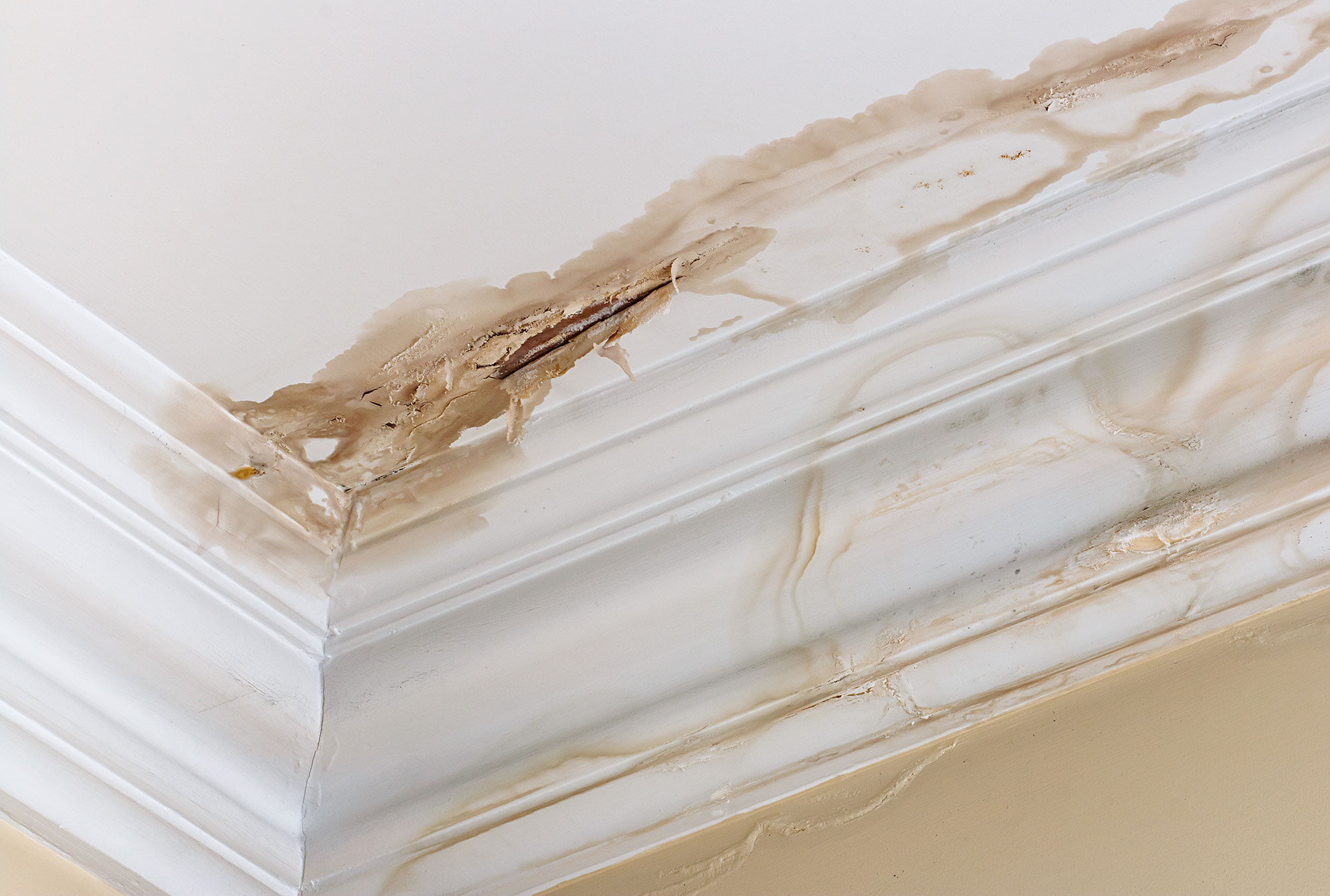 leaky roof leaky roof