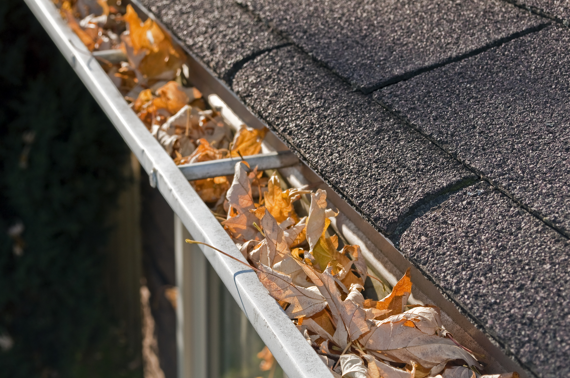 large gutters