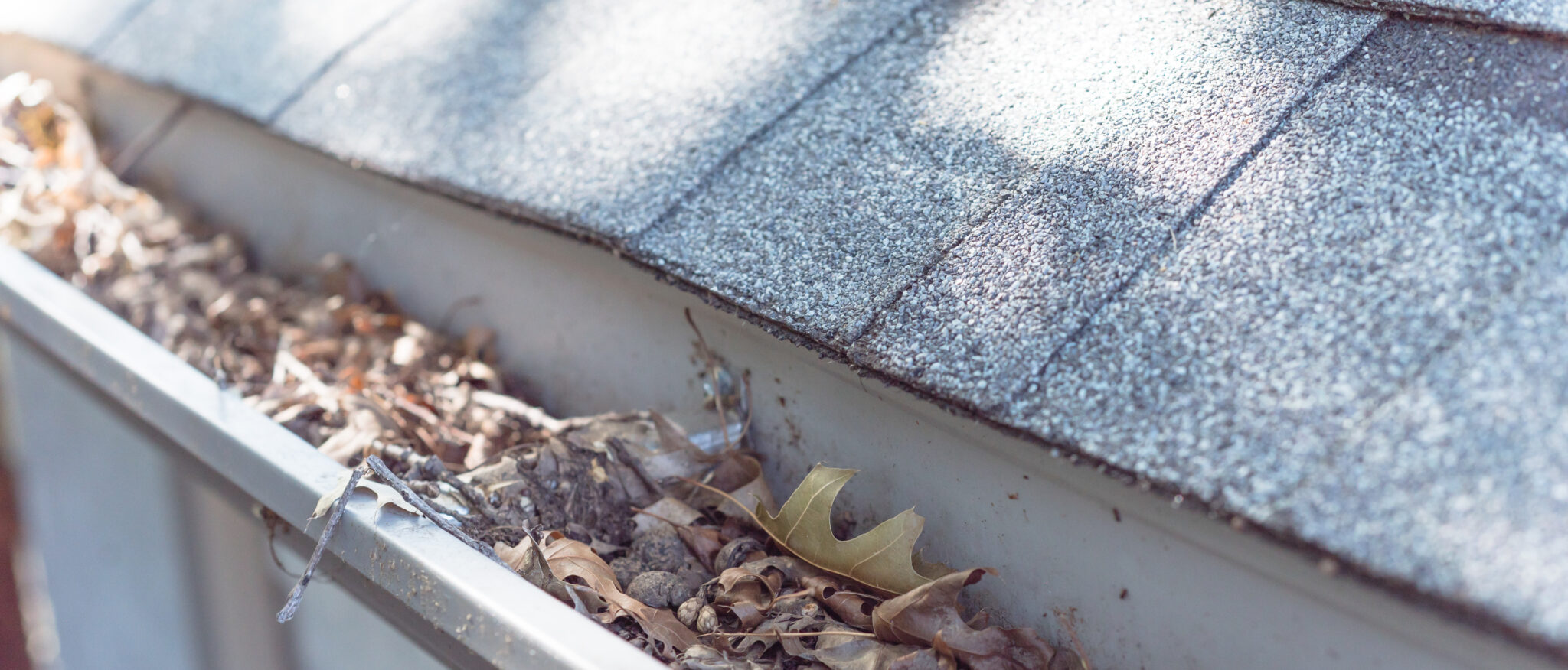 Should You Install Gutter Protection Systems for Your Home?